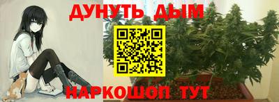 спайс Баксан