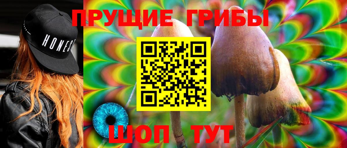 Псилоцибиновые грибы мухоморы  Вход с VPN  Ачхой-Мартан  Псилоцибиновые грибы Psilocybe 